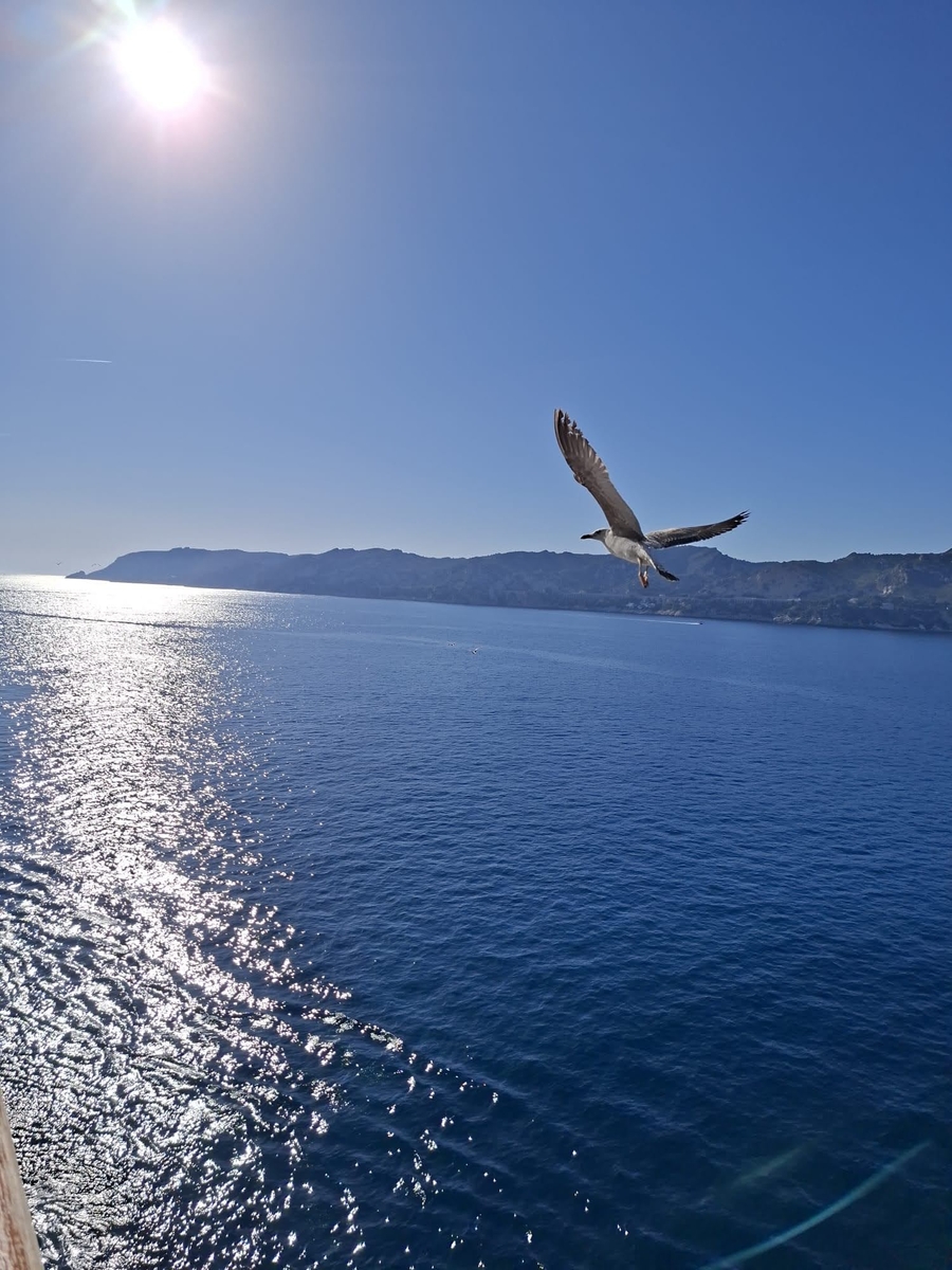 APPEL AUX BÉNÉVOLES