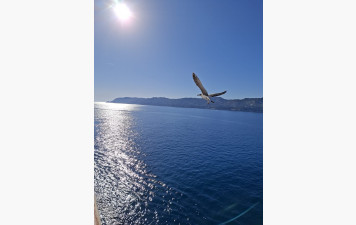 APPEL AUX BÉNÉVOLES